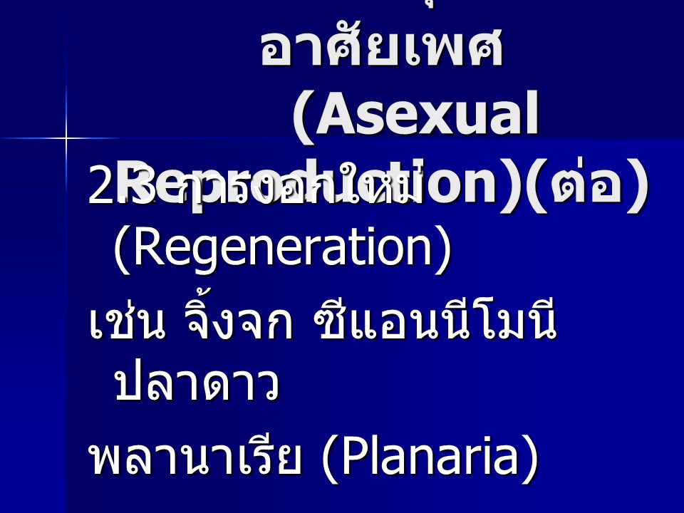 การสืบพันธุ์แบบไม่อาศัยเพศ (Asexual Reproduction)(ต่อ)