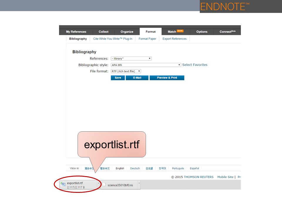 exportlist.rtf